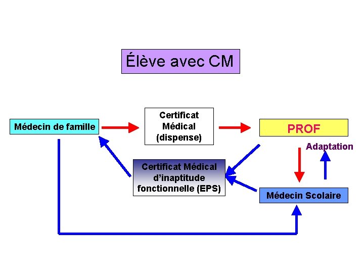 Élève avec CM Médecin de famille Certificat Médical (dispense) Certificat Médical d’inaptitude fonctionnelle (EPS)