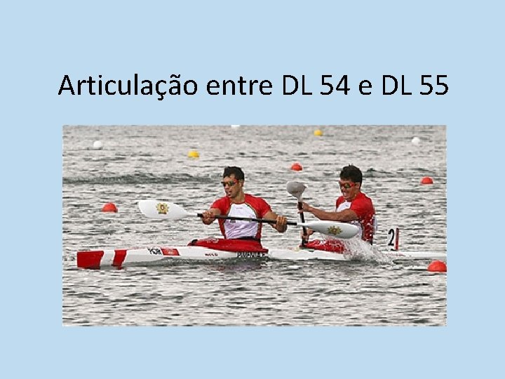 Articulação entre DL 54 e DL 55 Articulação entre DL 54 e DL 55