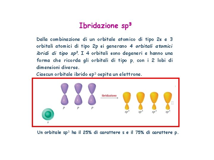 Ibridazione sp 3 Dalla combinazione di un orbitale atomico di tipo 2 s e