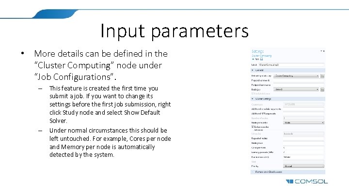 Input parameters • More details can be defined in the “Cluster Computing” node under