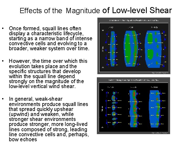 Effects of the Magnitude of Low-level Shear • Once formed, squall lines often display