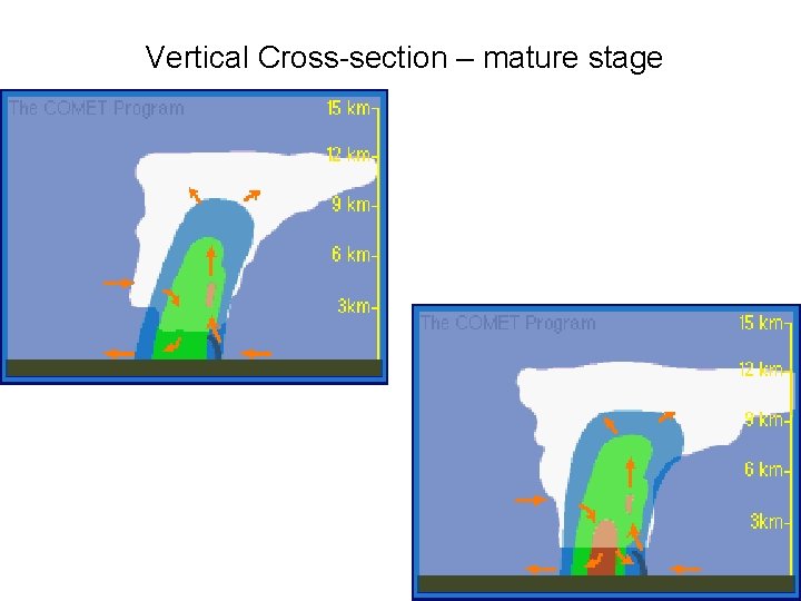 Vertical Cross-section – mature stage 