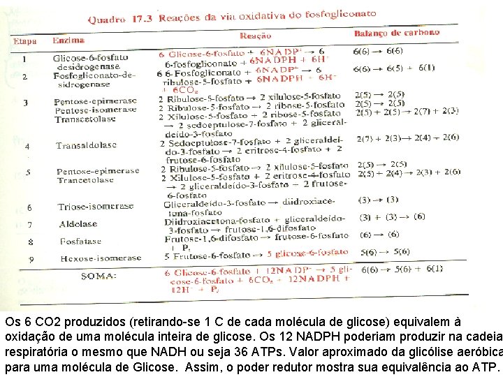 Os 6 CO 2 produzidos (retirando-se 1 C de cada molécula de glicose) equivalem