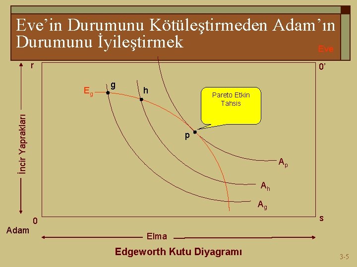 Eve’in Durumunu Kötüleştirmeden Adam’ın Durumunu İyileştirmek Eve r 0’ g h İncir Yaprakları Eg