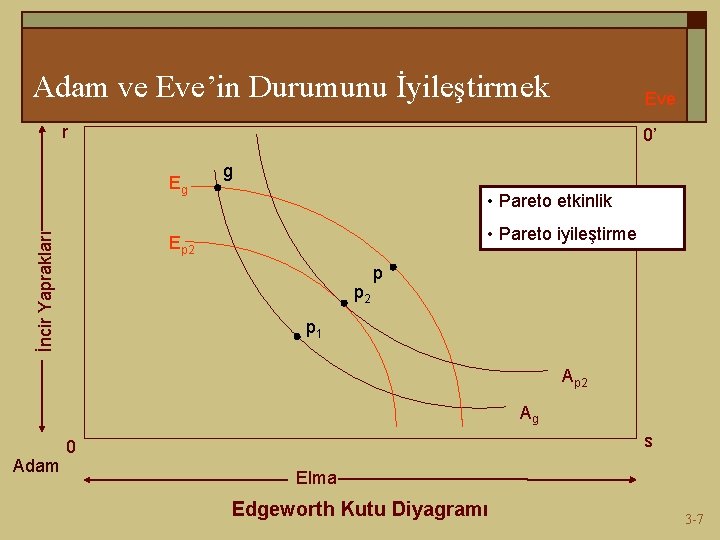 Adam ve Eve’in Durumunu İyileştirmek Eve r 0’ İncir Yaprakları Eg g • Pareto