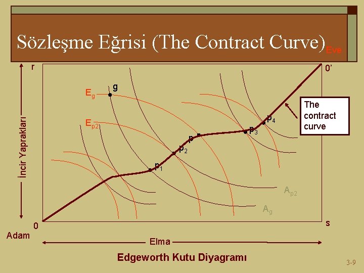 Sözleşme Eğrisi (The Contract Curve)Eve r 0’ İncir Yaprakları Eg g Ep 2 p