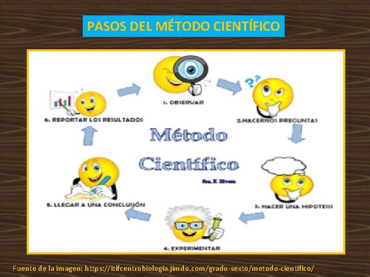 PASOS DEL MÉTODO CIENTÍFICO Fuente de la imagen: https: //itifcentrobiologia. jimdo. com/grado-sexto/metodo-cientifico/ PASOS DEL MÉTODO CIENTÍFICO Fuente de la imagen: https: //itifcentrobiologia. jimdo. com/grado-sexto/metodo-cientifico/