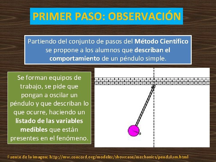 PRIMER PASO: OBSERVACIÓN Partiendo del conjunto de pasos del Método Científico se propone a PRIMER PASO: OBSERVACIÓN Partiendo del conjunto de pasos del Método Científico se propone a