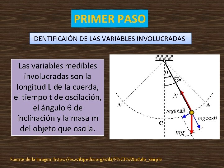 PRIMER PASO IDENTIFICAIÓN DE LAS VARIABLES INVOLUCRADAS Las variables medibles involucradas son la longitud PRIMER PASO IDENTIFICAIÓN DE LAS VARIABLES INVOLUCRADAS Las variables medibles involucradas son la longitud
