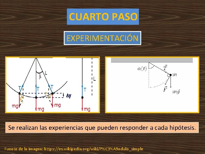 CUARTO PASO EXPERIMENTACIÓN Se realizan las experiencias que pueden responder a cada hipótesis. Fuente CUARTO PASO EXPERIMENTACIÓN Se realizan las experiencias que pueden responder a cada hipótesis. Fuente