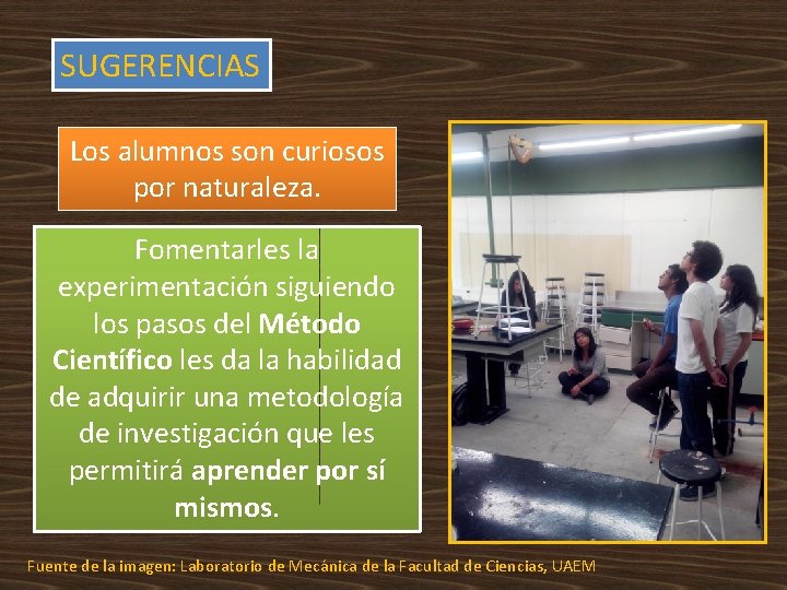 SUGERENCIAS Los alumnos son curiosos por naturaleza. Fomentarles la experimentación siguiendo los pasos del SUGERENCIAS Los alumnos son curiosos por naturaleza. Fomentarles la experimentación siguiendo los pasos del