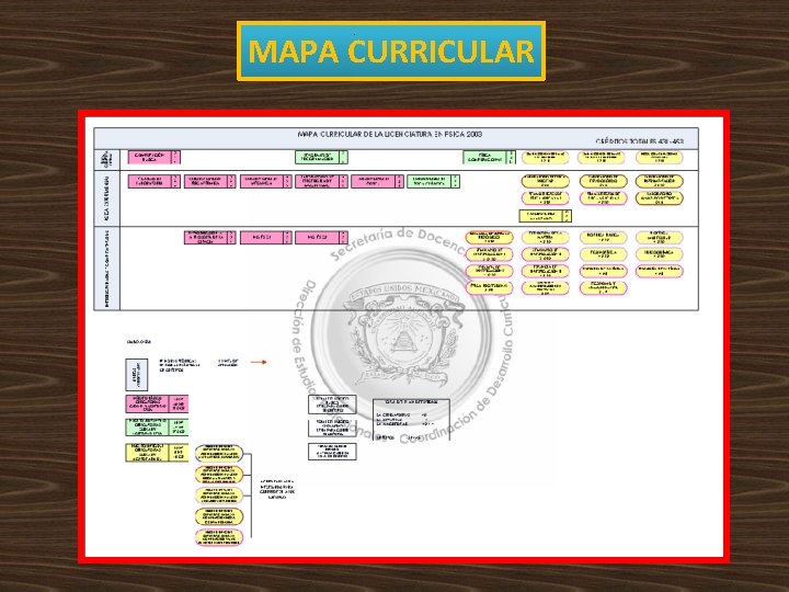 MAPA CURRICULAR MAPA CURRICULAR