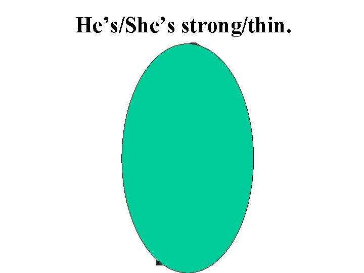 He’s/She’s strong/thin. 