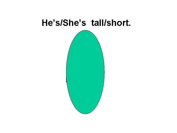 He’s/She’s tall/short. 