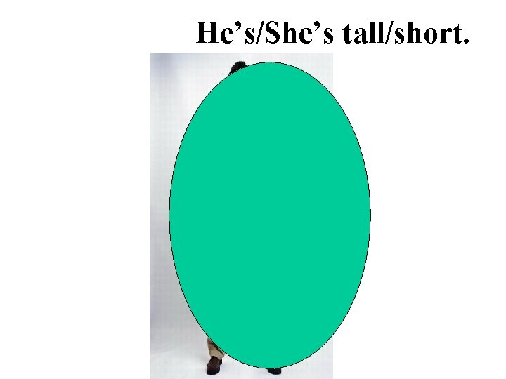 He’s/She’s tall/short. 