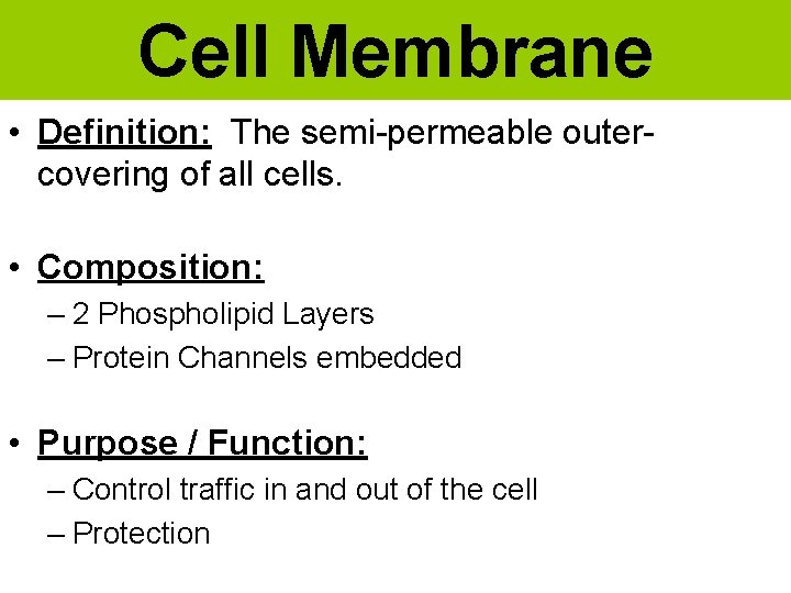 Cell Membrane • Definition: The semi-permeable outercovering of all cells. • Composition: – 2