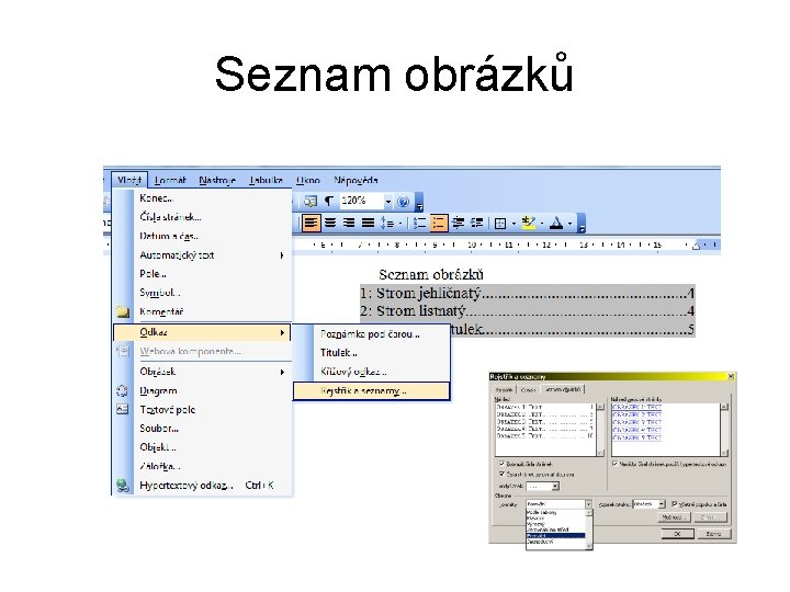 Seznam obrázků 