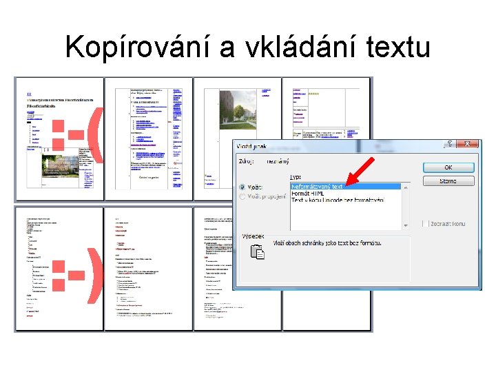 Kopírování a vkládání textu 