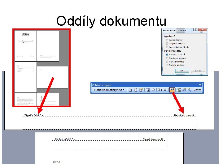 Oddíly dokumentu 