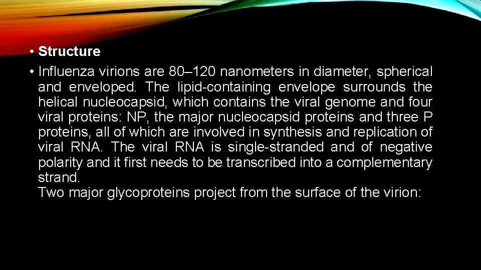  • Structure • Influenza virions are 80– 120 nanometers in diameter, spherical and