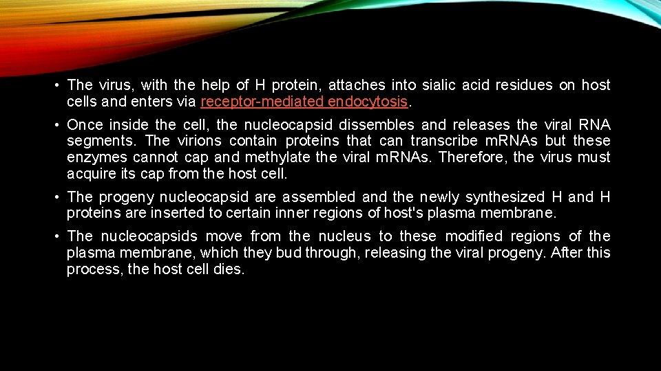  • The virus, with the help of H protein, attaches into sialic acid