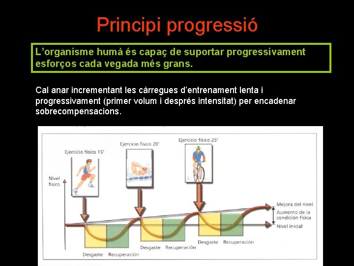 Principi progressió L’organisme humà és capaç de suportar progressivament esforços cada vegada més grans.