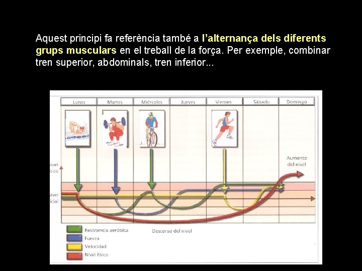 Aquest principi fa referència també a l’alternança dels diferents grups musculars en el treball