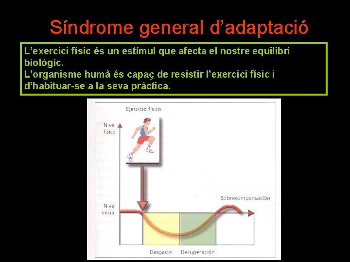 Síndrome general d’adaptació L’exercici físic és un estímul que afecta el nostre equilibri biològic.