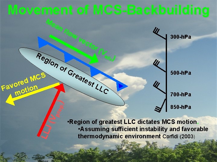 Movement of MCS-Backbuilding Me an flo w cto r Re gio n MCS of
