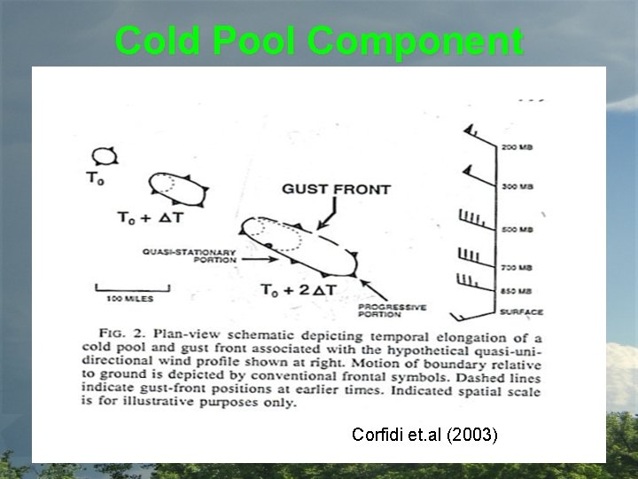 Cold Pool Component Corfidi et. al (2003) 