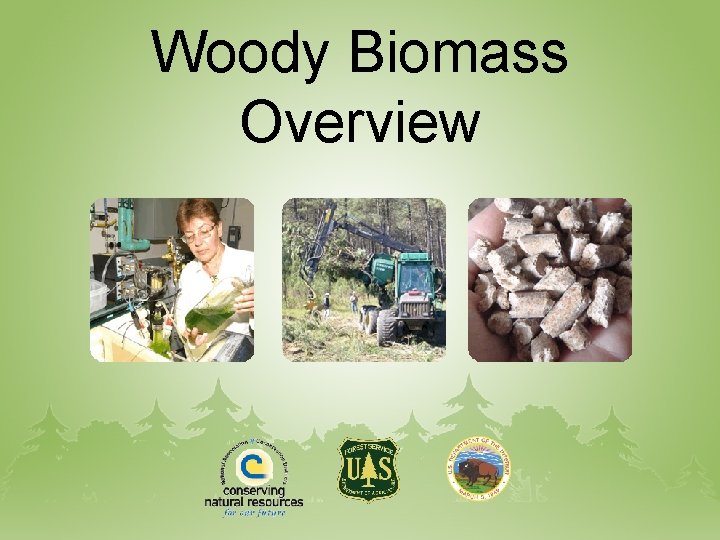 Woody Biomass Overview 