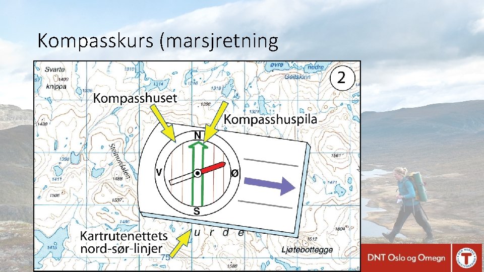 Kompasskurs (marsjretning 