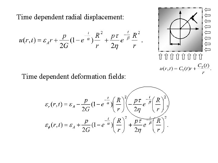 Time dependent radial displacement: Time dependent deformation fields: Time dependent radial displacement: Time dependent deformation fields:
