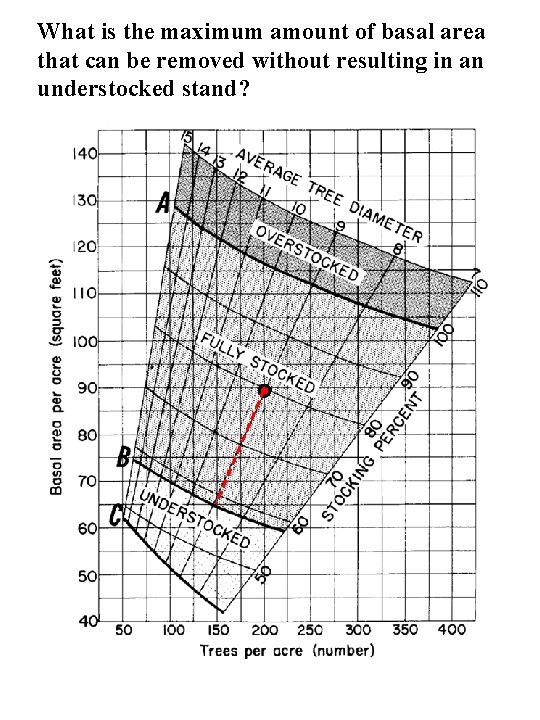 What is the maximum amount of basal area that can be removed without resulting What is the maximum amount of basal area that can be removed without resulting