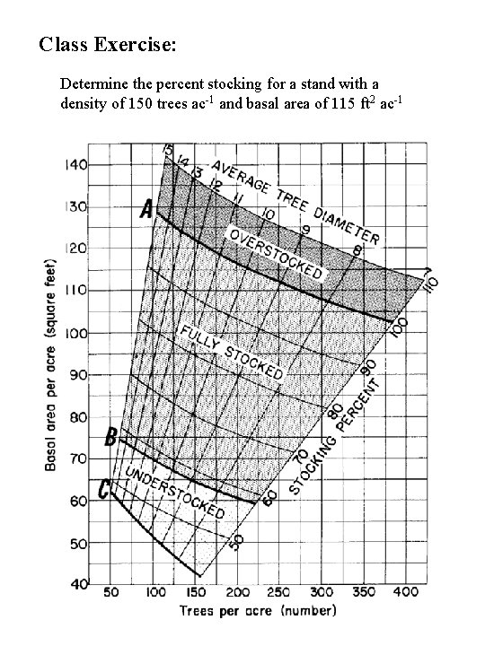 Class Exercise: Determine the percent stocking for a stand with a density of 150 Class Exercise: Determine the percent stocking for a stand with a density of 150