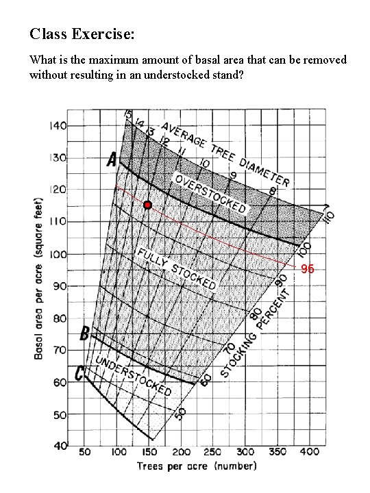Class Exercise: What is the maximum amount of basal area that can be removed Class Exercise: What is the maximum amount of basal area that can be removed
