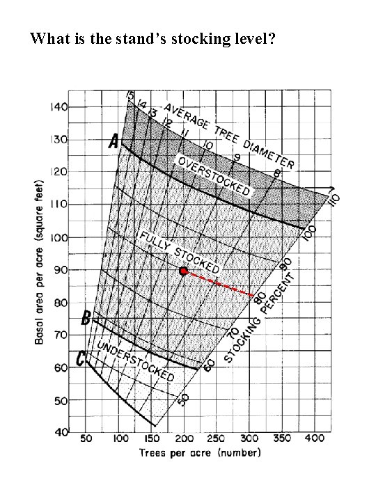 What is the stand’s stocking level? What is the stand’s stocking level?