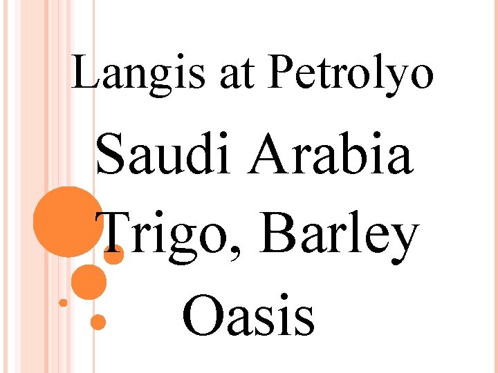 Langis at Petrolyo Saudi Arabia Trigo, Barley Oasis 