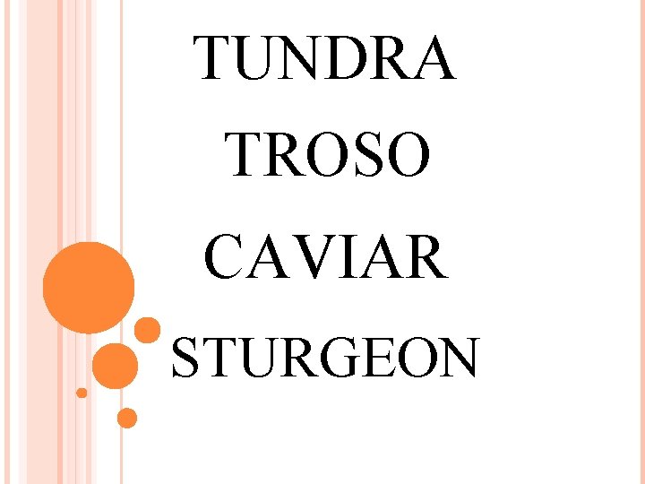 TUNDRA TROSO CAVIAR STURGEON 