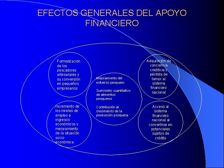 EFECTOS GENERALES DEL APOYO FINANCIERO Formalización de los pescadores artesanales y su conversión en