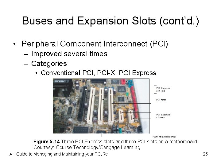 Buses and Expansion Slots (cont’d. ) • Peripheral Component Interconnect (PCI) – Improved several