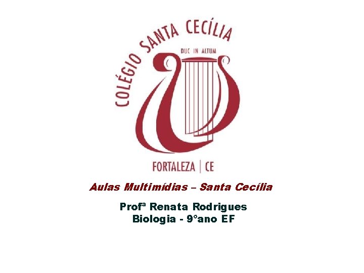 Aulas Multimídias – Santa Cecília Profª Renata Rodrigues Biologia - 9ºano EF 