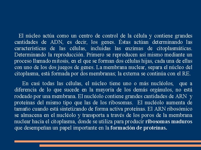 El núcleo actúa como un centro de control de la célula y contiene grandes