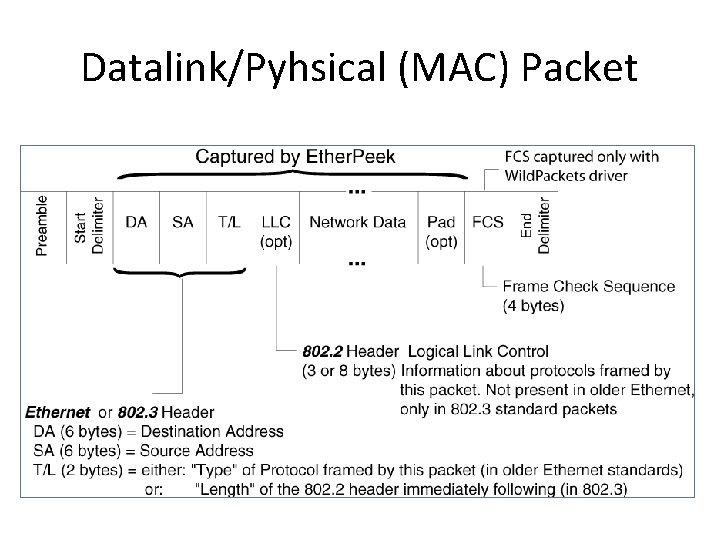 Datalink/Pyhsical (MAC) Packet 