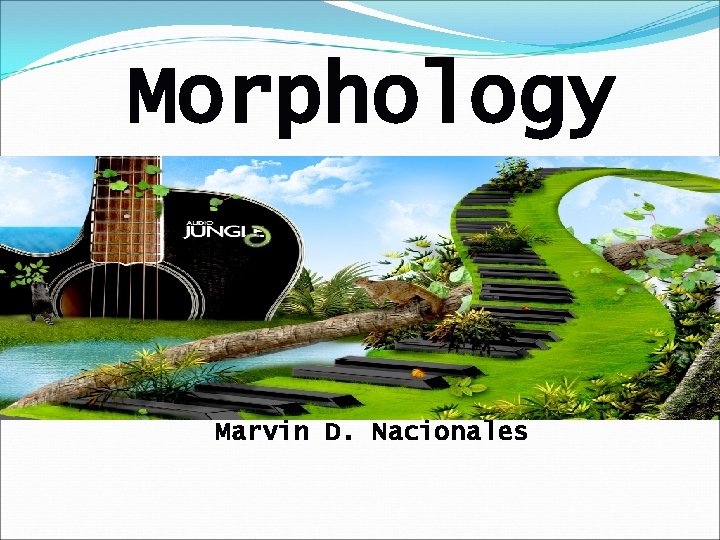 Morphology Prepared by: Marvin D. Nacionales 