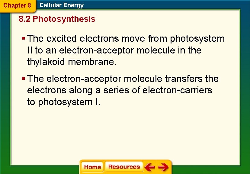 Chapter 8 Cellular Energy 8. 2 Photosynthesis § The excited electrons move from photosystem