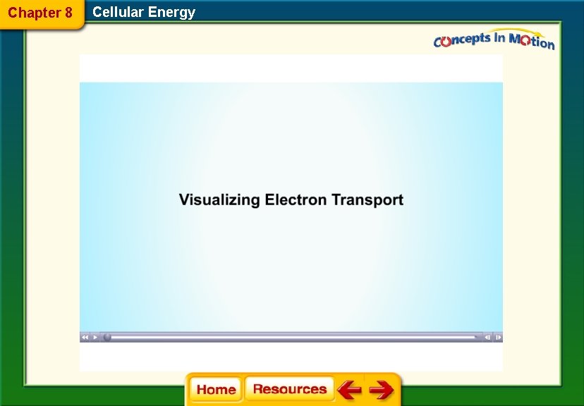 Chapter 8 Cellular Energy 