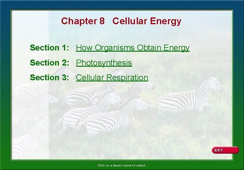 Chapter 8 Cellular Energy Section 1: How Organisms Obtain Energy Section 2: Photosynthesis Section