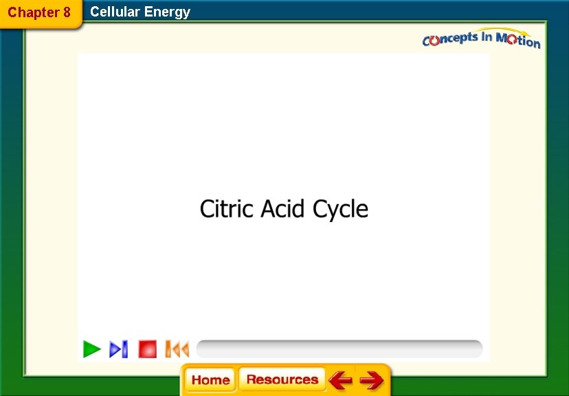 Chapter 8 Cellular Energy 