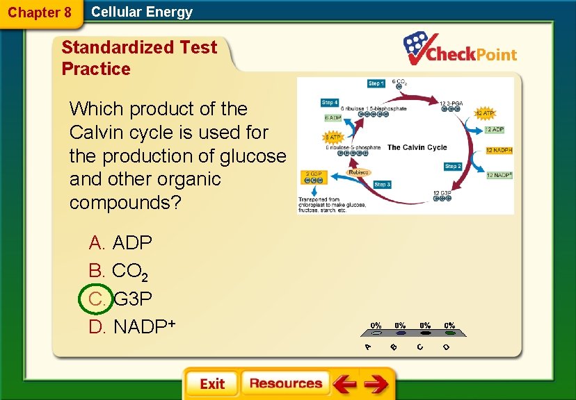 Chapter 8 Cellular Energy Standardized Test Practice Which product of the Calvin cycle is